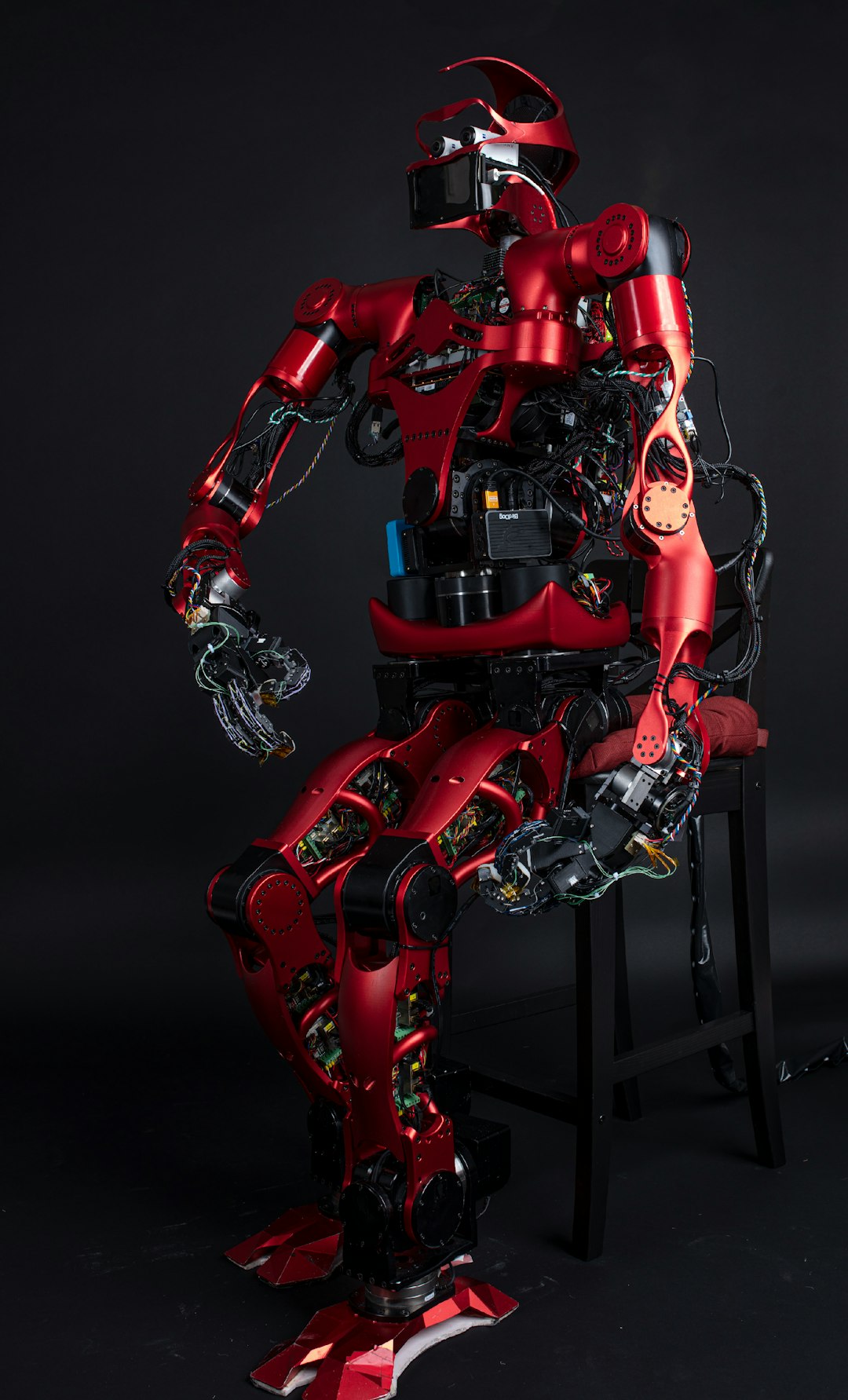 Robots domésticos